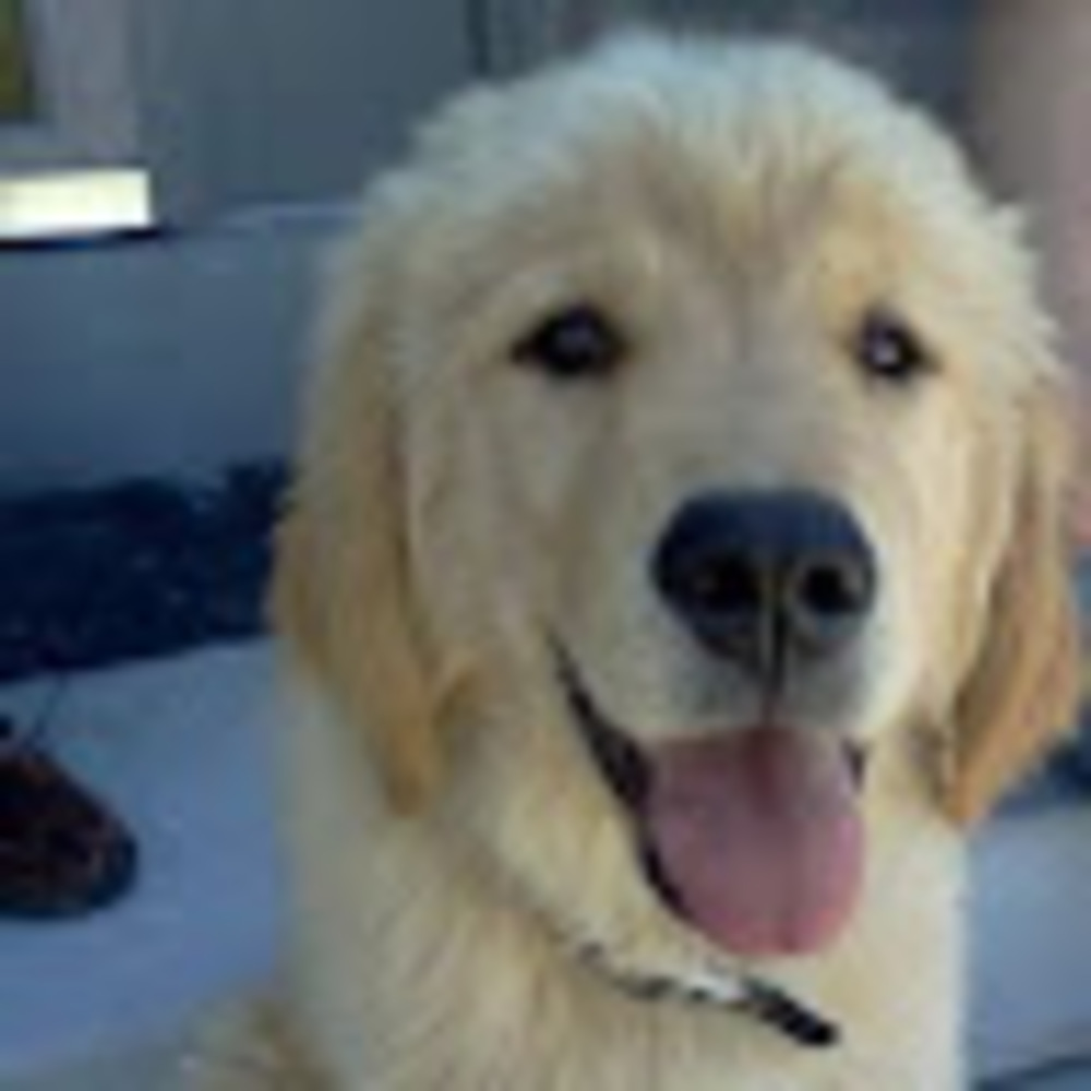 Meet your Posher, Briley